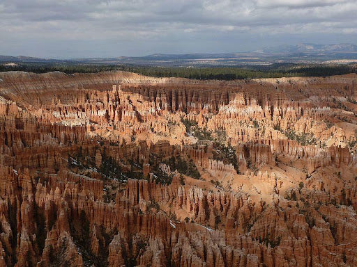 Lily Clara Letter 7 - Hoodoos and Hoodlums