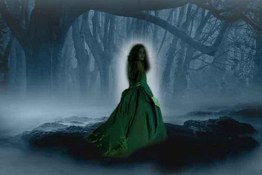 Lily Clara Letter 23 - The White Widow